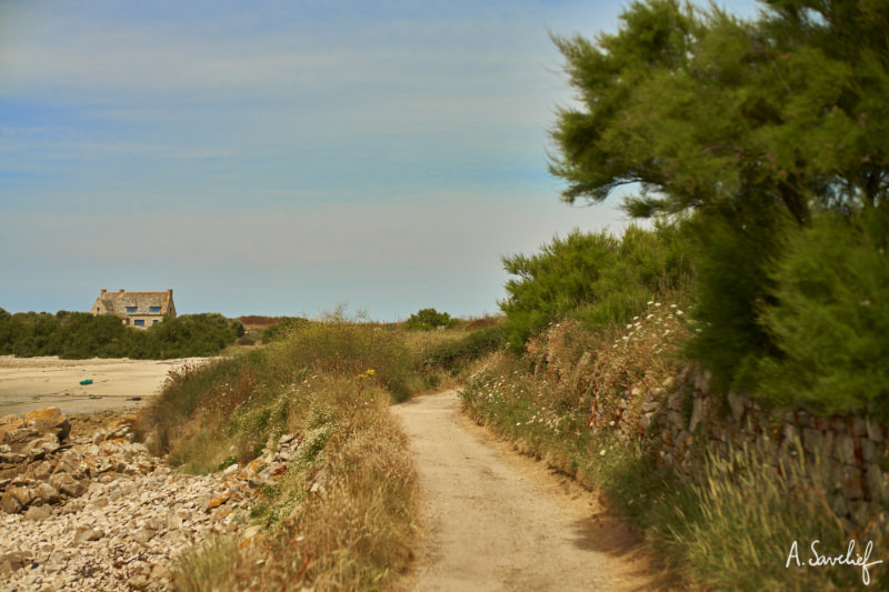 Côte en Bretagne, chemin paisible sur une île, bordé par les rochers et la mer